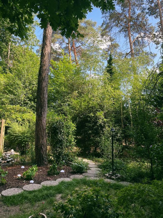 Mimi'S Natuurhuisje Lanaken Εξωτερικό φωτογραφία